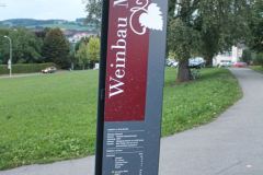 2013_Weinbau-Mariazell01